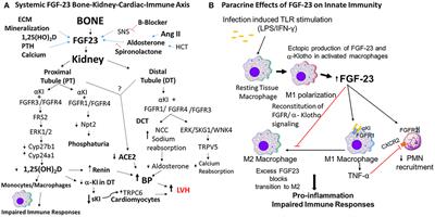 Role of Fibroblast Growth Factor-23 in Innate Immune Responses